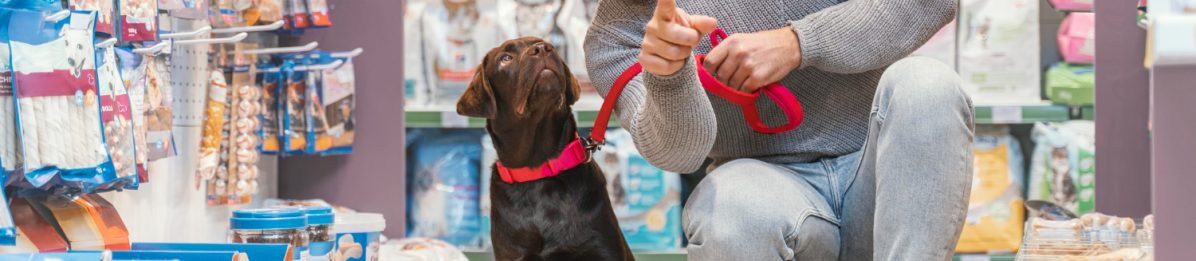 Como montar um pet shop: Investimento, licenças e sistema de gestão
