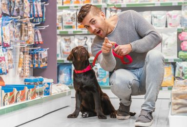 Como montar um pet shop: Investimento, licenças e sistema de gestão