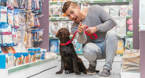 Como montar um pet shop: Investimento, licenças e sistema de gestão