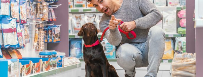Como montar um pet shop: Investimento, licenças e sistema de gestão
